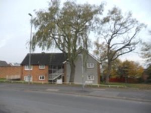 Front view